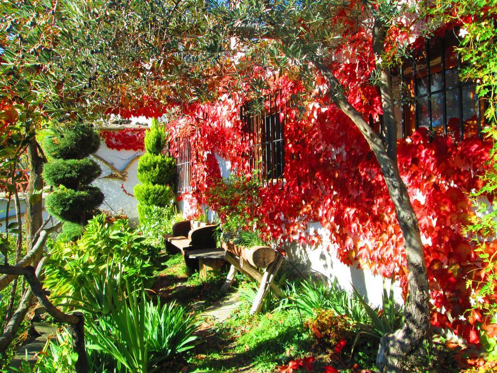 Landhaus Cortijo Brazal La Ventaja *